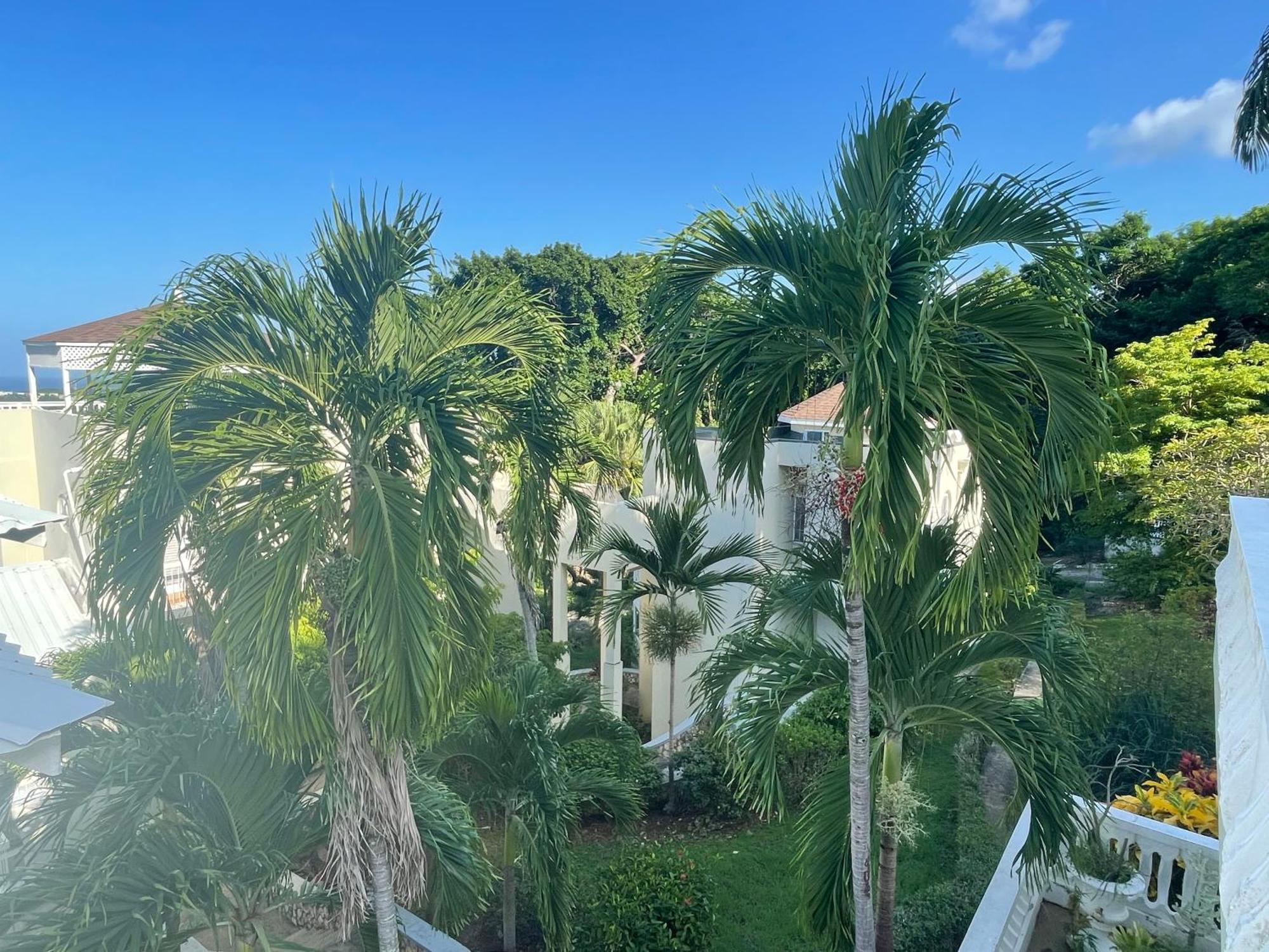 Oceanbreeze Jamaica Penthouse, 7-Minute Walk To Beach Ocho Rios Buitenkant foto