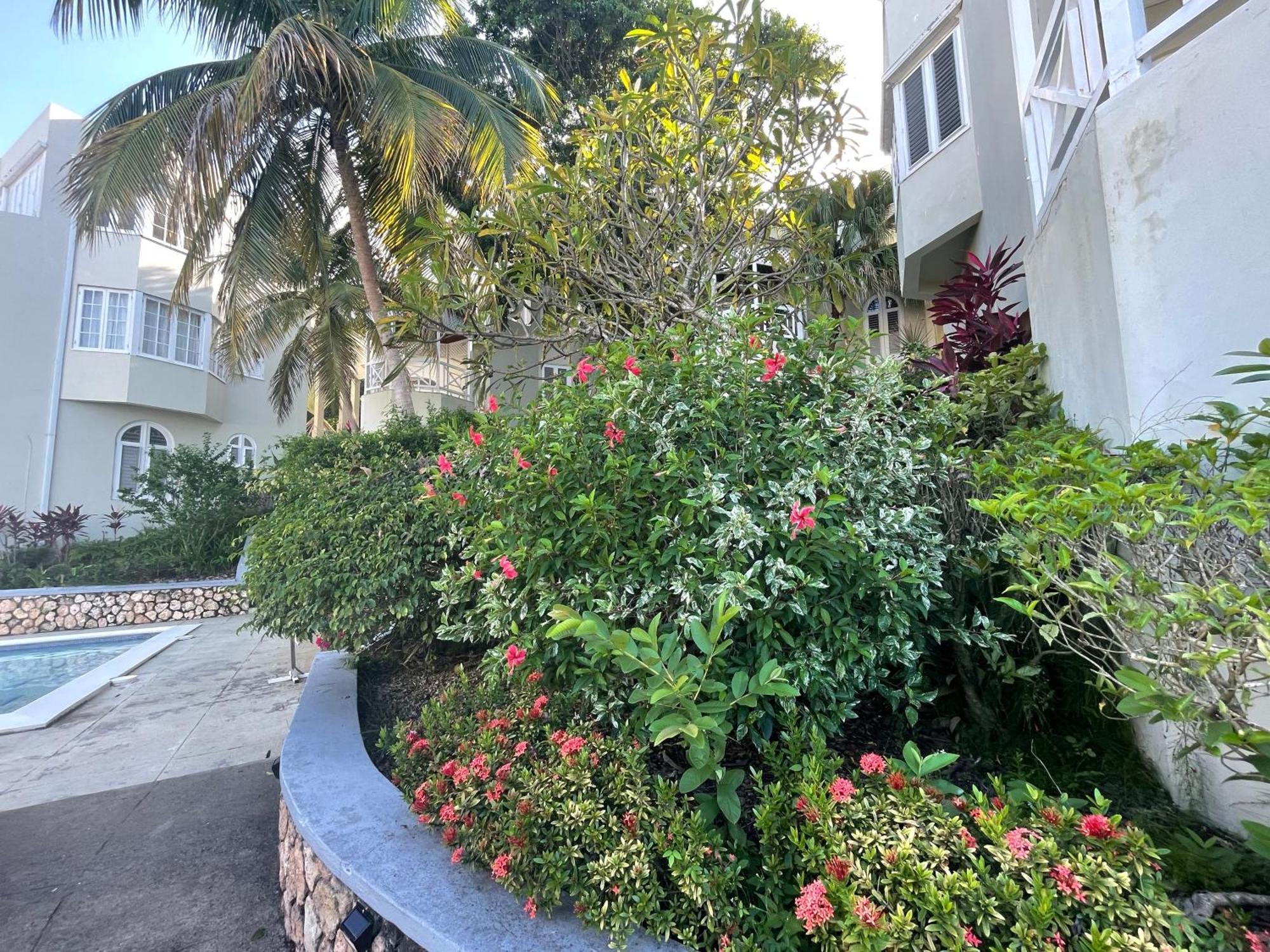 Oceanbreeze Jamaica Penthouse, 7-Minute Walk To Beach Ocho Rios Buitenkant foto